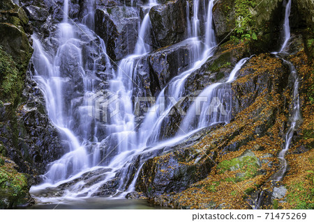 絲島縣的熱門景點：美麗的秋天白Shi瀑布（福岡縣絲島市） 71475269