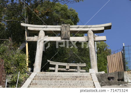 Stone steps and stone torii on the approach to Toyodahime Shrine 71475324