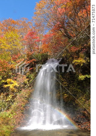 A rainbow over the autumn leaves and a waterfall A rainbow over the autumn leaves and a waterfall 71475873