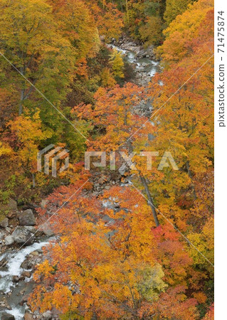 Kinshu mountain river Kinshu mountain river 71475874