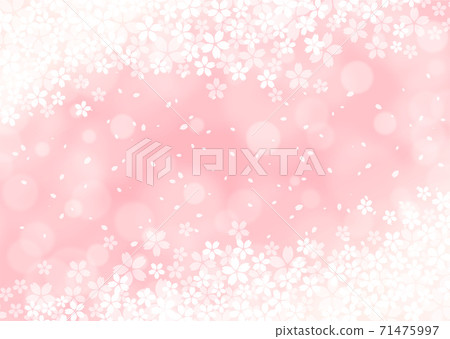 [Sakura背景圖像素材]蓬鬆的櫻花背景[用於春季圖像]。 71475997