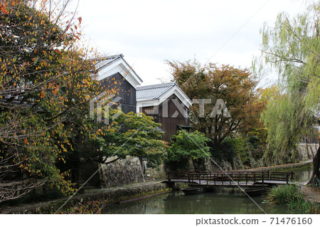 近江八man水鄉的風景 71476160