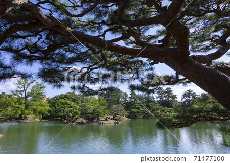 North Lake and pine trees in Ritsurin Garden North Lake and pine trees in Ritsurin Garden 71477100