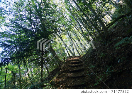 let's go to the mountain let's go to the mountain 71477822