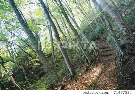 let's go to the mountain let's go to the mountain 71477823