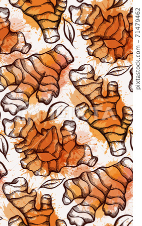 Seamless texture of sketch of ginger root, foliage with strokes and watercolor splashes on a white background. Healthy food. Vector engraving pattern 71479462