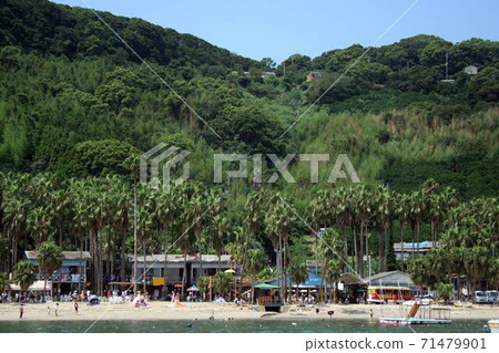 Fukuoka / Nokonoshima coast Fukuoka / Nokonoshima coast 71479901