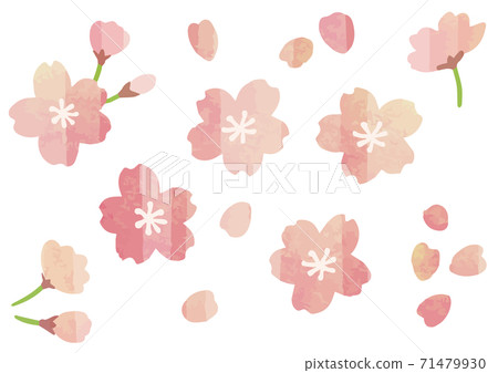 Watercolor style cute cherry blossom decoration illustration set spring season 71479930