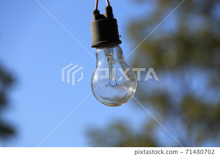 Bare light bulb image Bare light bulb image 71480702