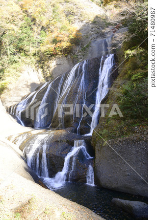 Fukuroda秋葉的秋天 71480987