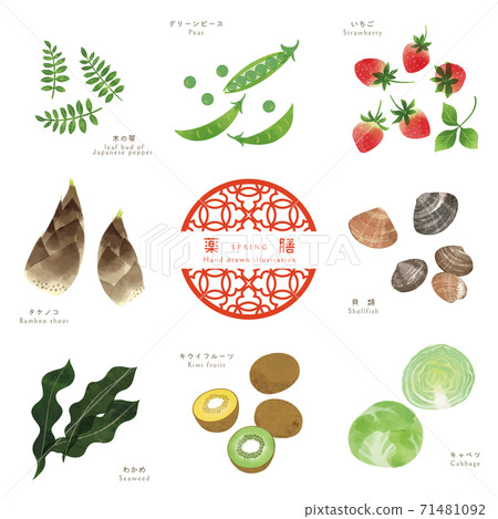 春季醫學套裝2 /成分的手繪插圖 71481092