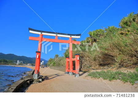 [宮崎縣]青島神社鳥居在晴朗的天氣下 71481238