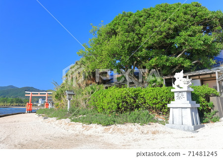[Miyazaki Prefecture] Qingdao Shrine under fine weather 71481245