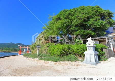 [Miyazaki Prefecture] Qingdao Shrine under fine weather 71481246