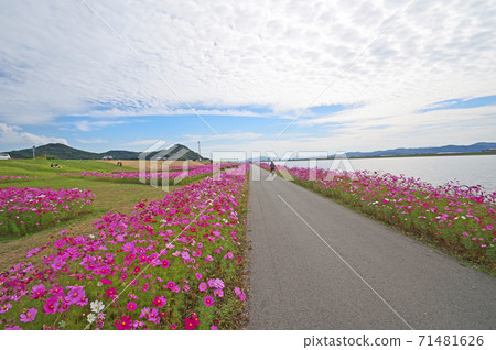 ga川川河床和秋天的天空上無盡的宇宙 ga川川河床和秋天的天空上無盡的宇宙 71481626