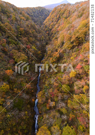 從北海道新信別大橋看的紅葉 照片素材 圖片 圖庫