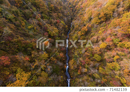 Autumn leaves seen from Shinnoboribetsu Ohashi, Hokkaido 71482139