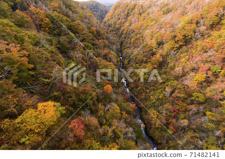 從北海道新信別大橋看的紅葉 照片素材 圖片 圖庫