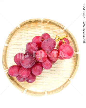 Grape Grape Grape Aki Queen 71483546