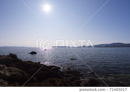 愛知縣伽馬郡竹島市 愛知縣伽馬郡竹島市 71485017