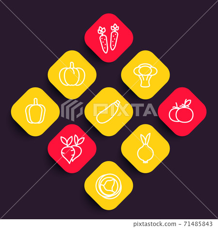 Vegetables icons set, courgette, carrot, broccoli 71485843