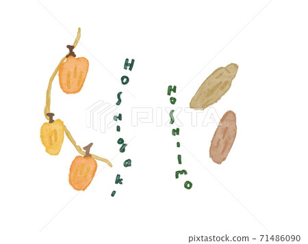 Dried persimmon and dried potato 71486090