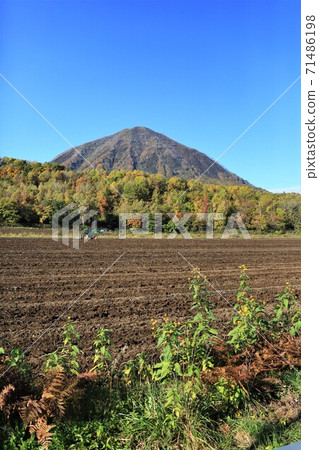 Scenery of Hokkaido "Autumn Shiribetsudake" (Kimobetsu Town, Hokkaido) Scenery of Hokkaido "Autumn Shiribetsudake" (Kimobetsu Town, Hokkaido) 71486198
