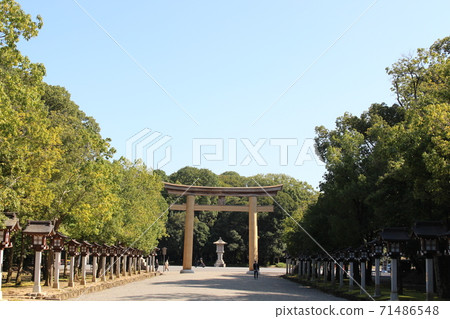 陽光燦爛的ama原神宮 71486548
