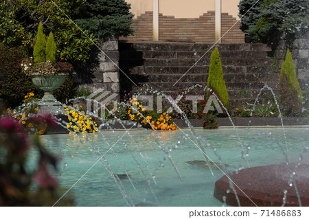 秋天在箱根漫步 71486883