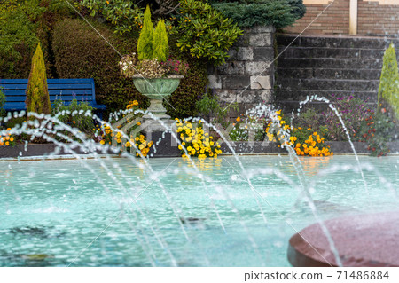 秋天在箱根漫步 71486884