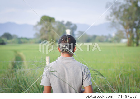 back of man ,man and the paddy field 71487118