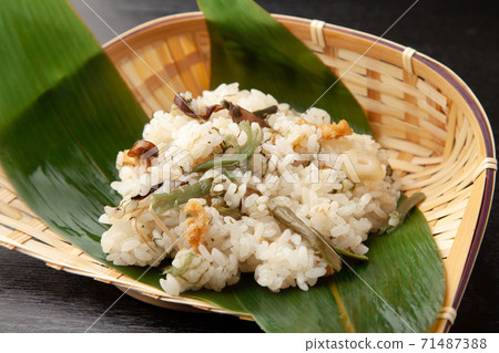 Wild vegetable owl 71487388