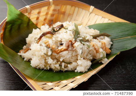 野生蔬菜貓頭鷹 71487390