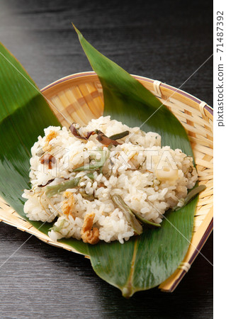 Wild vegetable owl 71487392