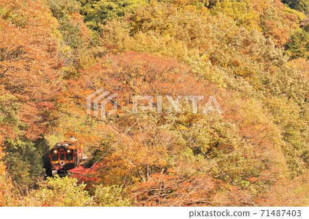 Watarase谷鐵路:Wasshi通過秋葉隧道 Watarase谷鐵路:Wasshi通過秋葉隧道 71487403
