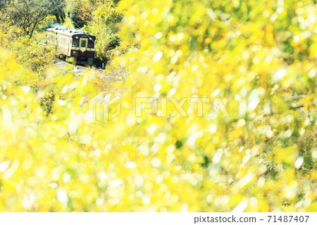Watarase Valley Railway: A cute local line that goes through glittering trees 71487407