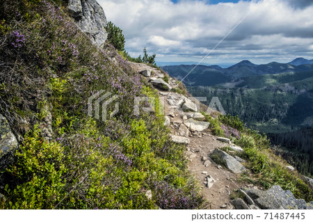 Western Tatras scenery, Slovakia, hiking theme 71487445