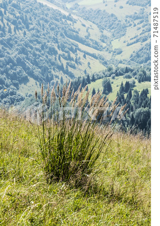 Big Fatra mountains, Slovakia, natural scene Big Fatra mountains, Slovakia, natural scene 71487519