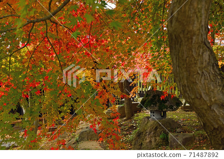 City scenery Iiyama city City scenery Iiyama city 71487892