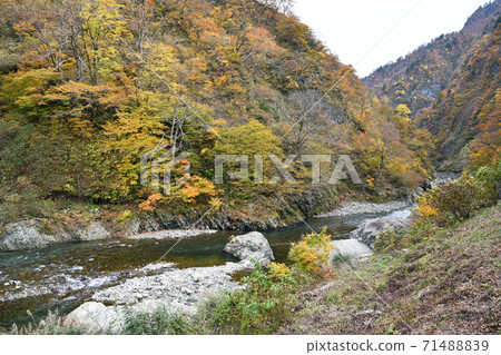 Autumn scenery Tokamachi Kiyotsu Gorge 71488839