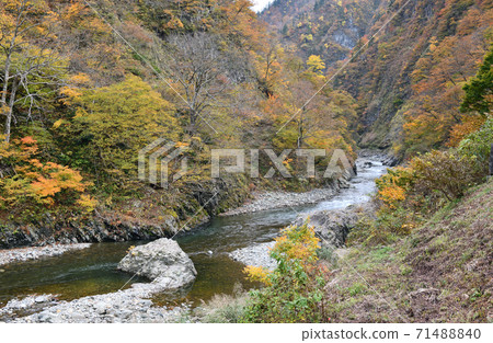 Autumn scenery Tokamachi Kiyotsu Gorge Autumn scenery Tokamachi Kiyotsu Gorge 71488840