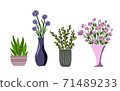 Indoor garden plants in pots and fresh flowers in vases. Set for greenhouse design. Vector illustration 71489233