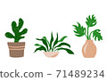 Indoor garden plants in pots and fresh flowers in vases. Set for greenhouse design. Vector illustration 71489234