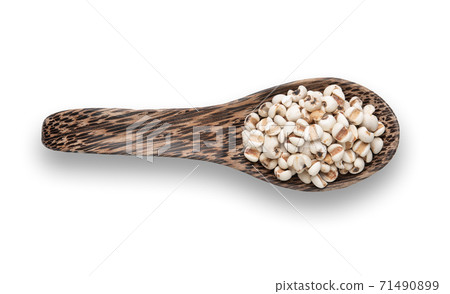 Grains useful of job's tears isolated on white. (Coix lacryma-jobi L.) Grains useful of job's tears isolated on white. (Coix lacryma-jobi L.) 71490899