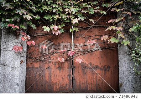 Doors not opening Doors not opening 71490948