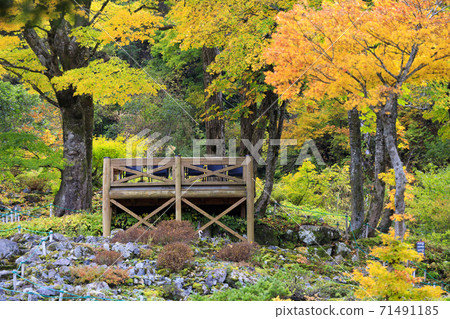 湯澤高原全景公園阿爾卑斯之裡 71491185