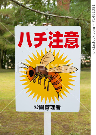 Bee care 71491381