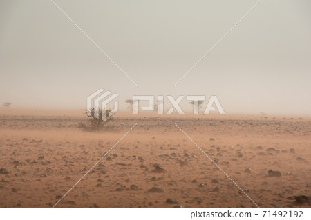 Sandstorm in rocky desert terrain. Erg Chigaga Morocco Sandstorm in rocky desert terrain. Erg Chigaga Morocco 71492192