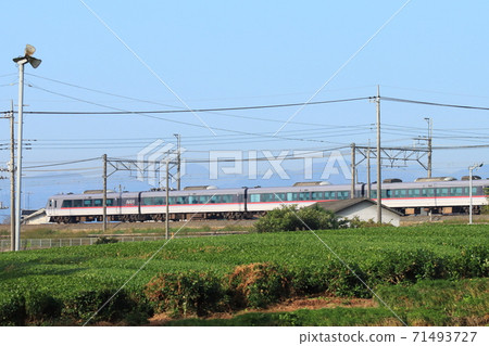 Seibu Railway's 10,000 series express train "Koedo" runs through the tea fields of Sayama Tea_Photo taken on November 14, 2020 71493727