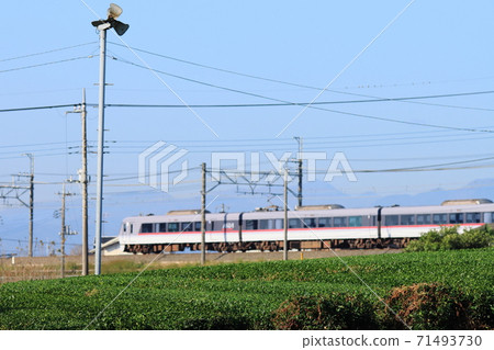 Seibu Railway's 10,000 series express train "Koedo" runs through the tea fields of Sayama Tea_Photo taken on November 14, 2020 71493730